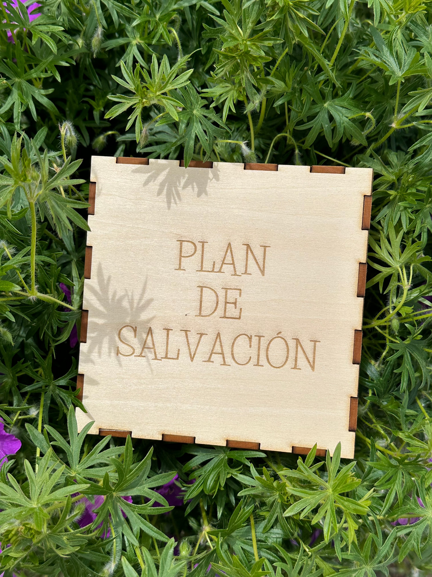 Plan of Salvation